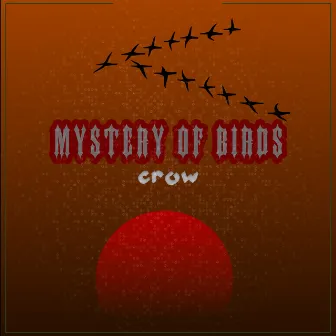 Mystery Of Birds by CROW