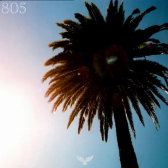 805 by Cheeba Hawk