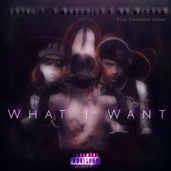 What I Want by Mr. Wisdom