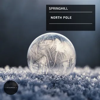 North Pole by SpringHill