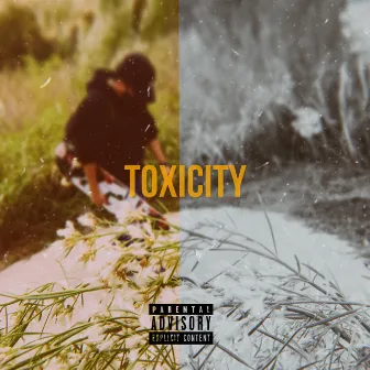 Toxicity by Sad3by