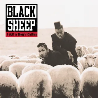 A Wolf In Sheep's Clothing by Black Sheep