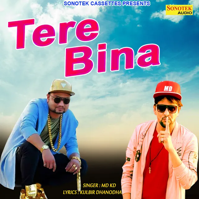 Tere Bina