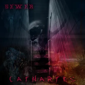 Cathartes by Sewer