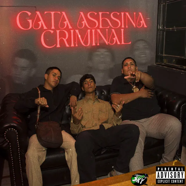 GATA ASESINA CRIMINAL