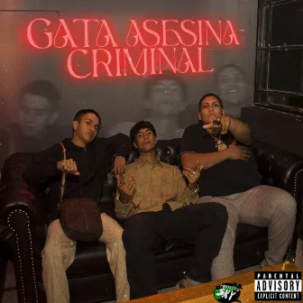 GATA ASESINA CRIMINAL by Atom 金