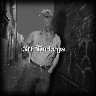 30 Turkeys by Kid Reverie