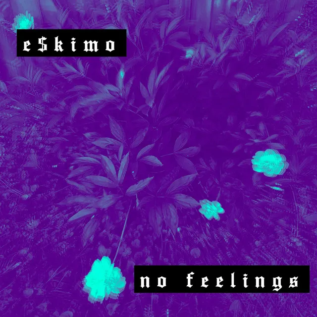 No Feelings