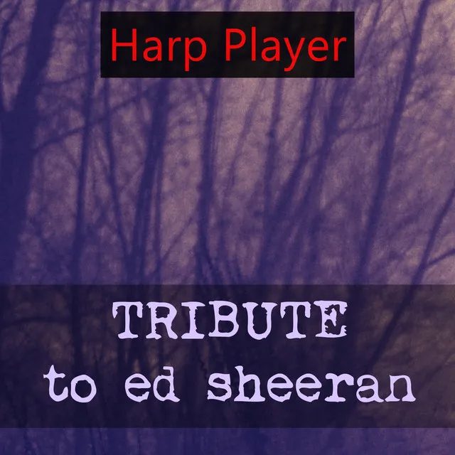 Tribute to Ed Sheeran