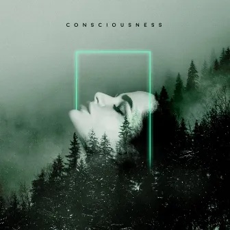 Consciousness by Nachtaktiv