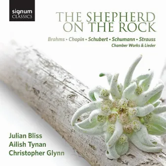 The Shepherd on the Rock: Chamber Works and Lieder by Brahms, Chopin, Schubert, Schumann and Strauss by Ailish Tynan