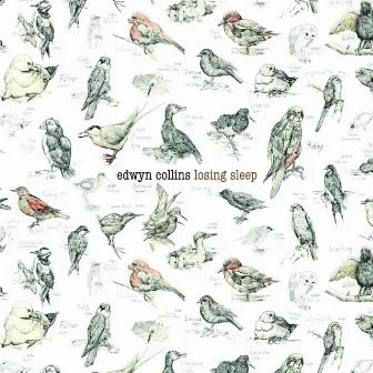 Losing Sleep by Edwyn Collins