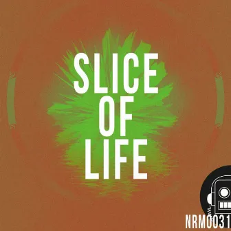 Slice of Life by Hiro Hernandez