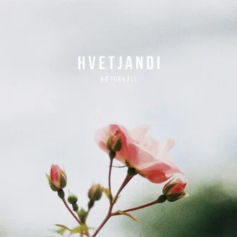 Hvetjandi by Næturkall