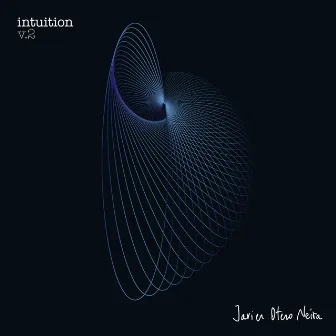 Intuition, Vol. 2 by Javier Otero Neira