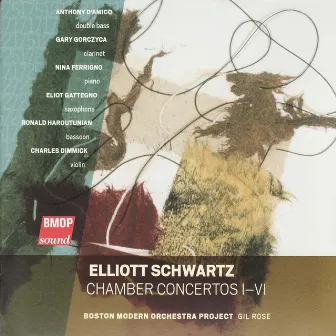 Elliott Schwartz: Chamber Concertos I-VI by Elliott Schwartz