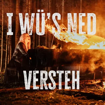 I wü's ned versteh by PÄM