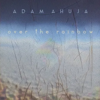 Over the Rainbow (live-looping) by Adam Ahuja