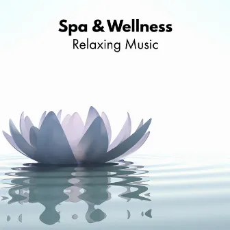 Spa & Wellness - Relaxing Music. Music for Spa, Healing and Calming Sounds by New Beginning Music Masters