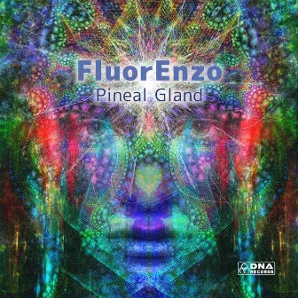 Pineal Gland by FluorEnzo