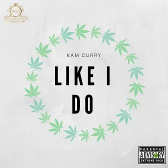 Like I Do by Kam Curry