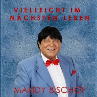 Vielleicht im nächsten Leben by Mandy Bischof