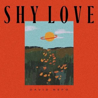 Shy Love by David Nepo