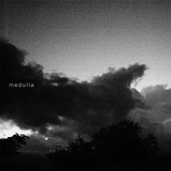 Medulla by Hollow