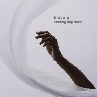 Elevate by Running Dog Music