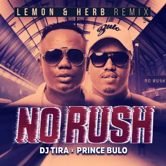 No Rush (Lemon & Herb Remix) by Prince Bulo