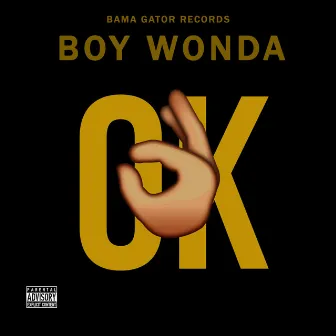 OK by Boy Wonda