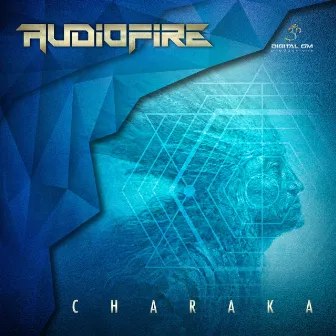 Charaka by Audiofire (UK)