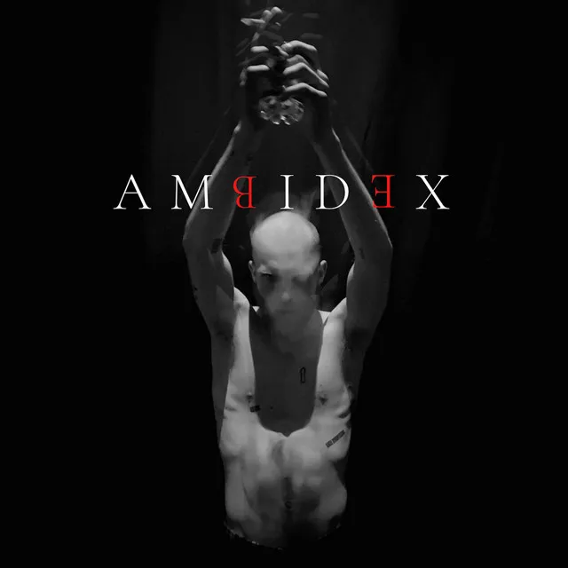 Ambidex