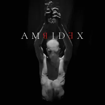 Ambidex by M O M S O N