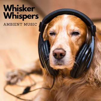 Whisker Whispers: Ambient Music by Bunky