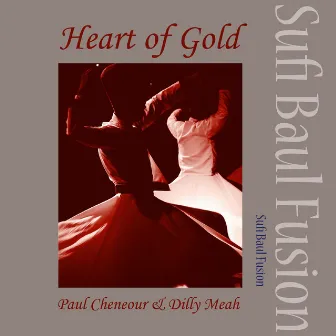 Heart of Gold by Dilly Meah