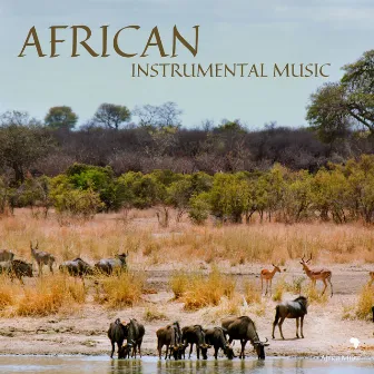 African Instrumental Music by African Music Crew