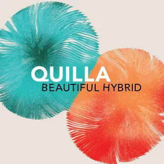 Beautiful Hybrid by Quilla