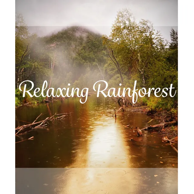 Relaxing Rainforest – Rain Drop, Healing and Soothing Nature Sounds, Pure Relaxing Sounds