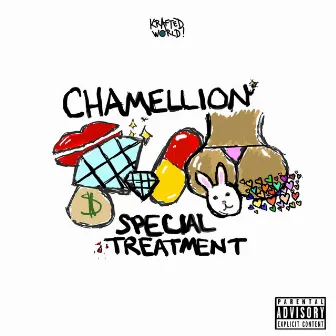 Special Treatment by Chamellion