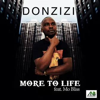 More to Life by Donzizi