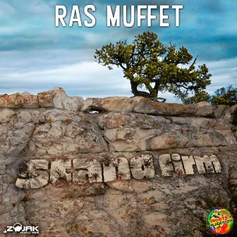 Stand Firm - Single by Ras Muffet