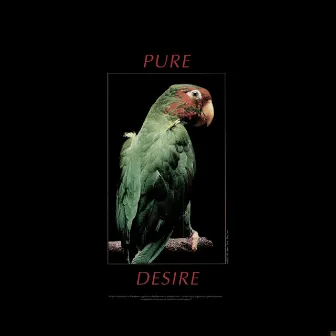 Pure Desire by Narcisse (Mex)