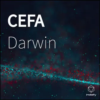 Cefa by Darwin