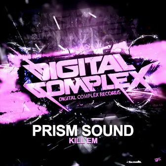 Kill 'Em by Prism Sound