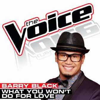 What You Won’t Do For Love (The Voice Performance) by Barry Black