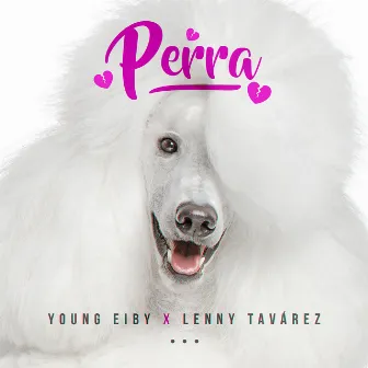 Perra by Young Eiby