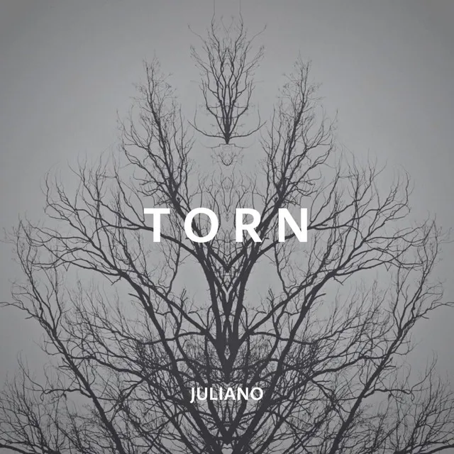 Torn