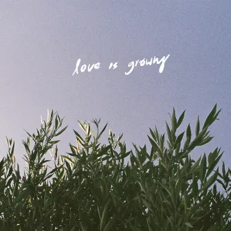 love is growing by Plastic Plastic