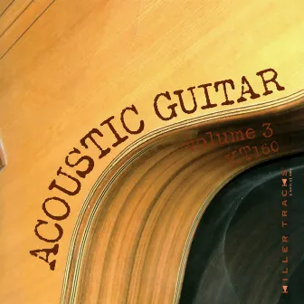 Acoustic Guitar, Vol. 3 by RaMusic